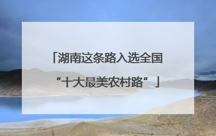 湖南这条路入选全国“十大最美农村路”