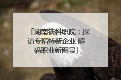 湖南铁科职院：探访专精特新企业 解码职业新图景