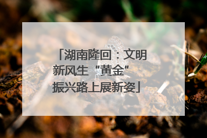 湖南隆回：文明新风生“黄金” 振兴路上展新姿