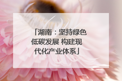 湖南：坚持绿色低碳发展 构建现代化产业体系