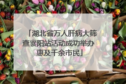 湖北省万人肝病大筛查襄阳站活动成功举办 惠及千余市民