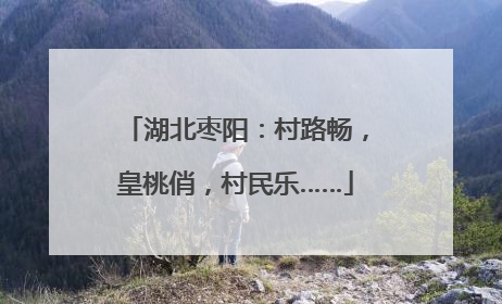 湖北枣阳：村路畅，皇桃俏，村民乐……