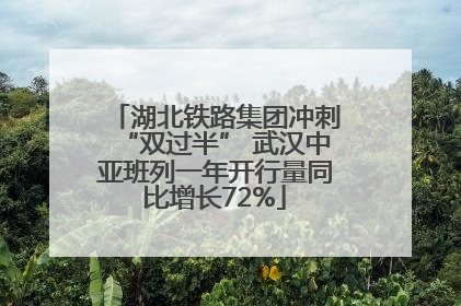 湖北铁路集团冲刺“双过半” 武汉中亚班列一年开行量同比增长72%