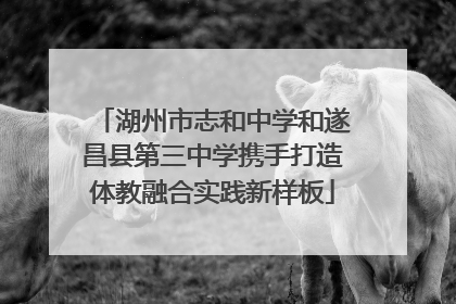 湖州市志和中学和遂昌县第三中学携手打造体教融合实践新样板