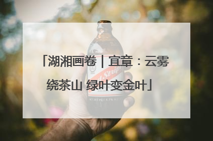 湖湘画卷｜宜章：云雾绕茶山 绿叶变金叶