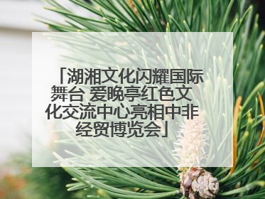 湖湘文化闪耀国际舞台 爱晚亭红色文化交流中心亮相中非经贸博览会