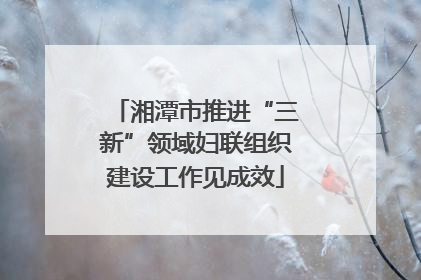 湘潭市推进“三新”领域妇联组织建设工作见成效