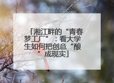 湘江畔的“青春梦工厂”：看大学生如何把创意“酿”成现实