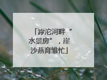滹沱河畔“水景房”，崖沙燕育雏忙