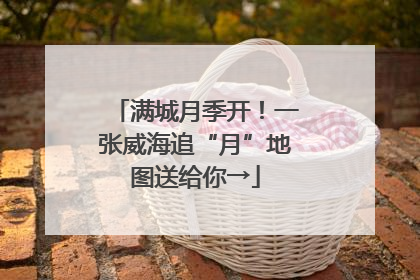 满城月季开！一张威海追“月”地图送给你→