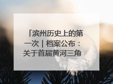 滨州历史上的第一次｜档案公布：关于首届黄河三角洲城市经济博览会暨发展论坛情况的总结报告
