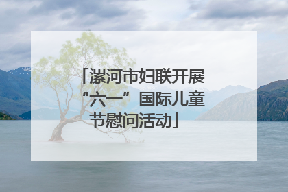 漯河市妇联开展“六一”国际儿童节慰问活动