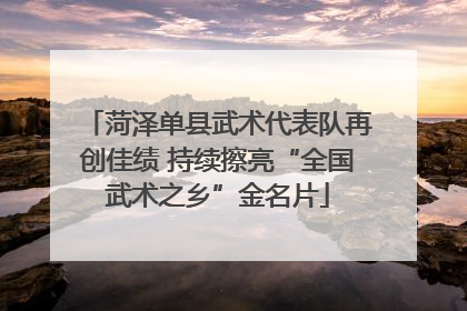 菏泽单县武术代表队再创佳绩 持续擦亮“全国武术之乡”金名片