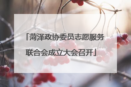 菏泽政协委员志愿服务联合会成立大会召开