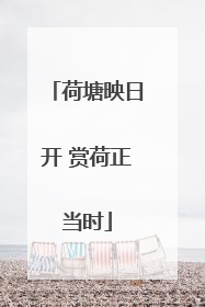 荷塘映日开 赏荷正当时