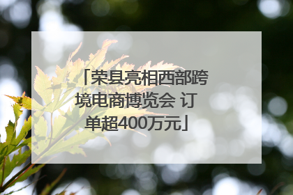 荣县亮相西部跨境电商博览会 订单超400万元
