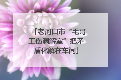 老河口市“毛哥工伤调解室”把矛盾化解在车间