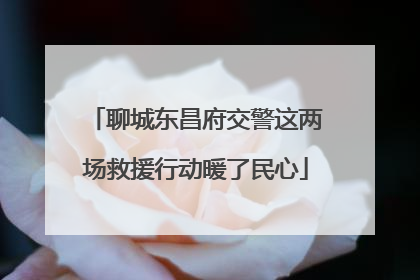 聊城东昌府交警这两场救援行动暖了民心