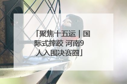 聚焦十五运｜国际式摔跤 河南9人入围决赛圈