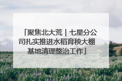 聚焦北大荒｜七星分公司扎实推进水稻育秧大棚基地清理整治工作