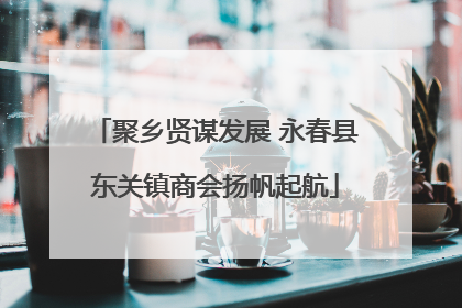 聚乡贤谋发展 永春县东关镇商会扬帆起航
