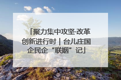 聚力集中攻坚·改革创新进行时｜台儿庄国企民企“联姻”记