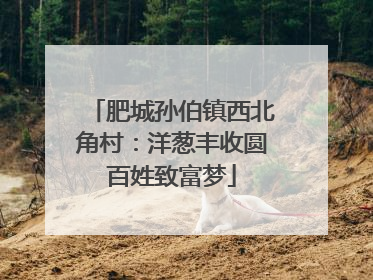 肥城孙伯镇西北角村：洋葱丰收圆百姓致富梦