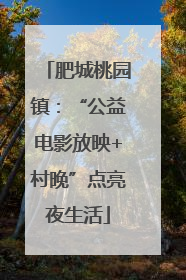 肥城桃园镇：“公益电影放映+村晚”点亮夜生活