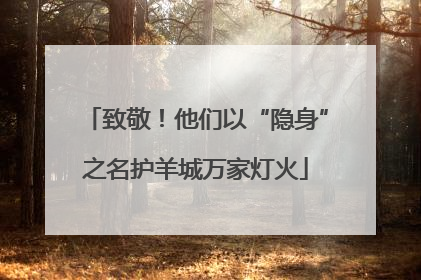 致敬！他们以“隐身”之名护羊城万家灯火