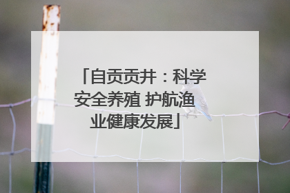 自贡贡井：科学安全养殖 护航渔业健康发展