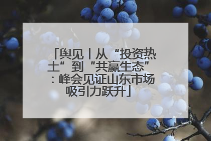 舆见丨从“投资热土”到“共赢生态”：峰会见证山东市场吸引力跃升