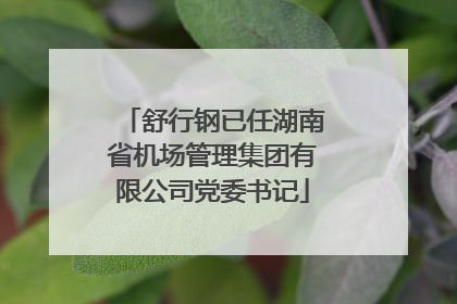 舒行钢已任湖南省机场管理集团有限公司党委书记