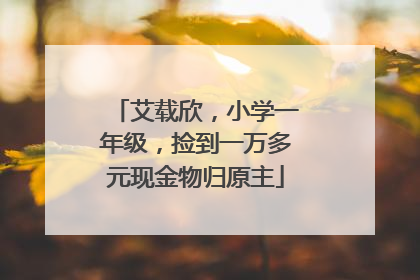 艾载欣，小学一年级，捡到一万多元现金物归原主