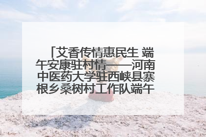 艾香传情惠民生 端午安康驻村情——河南中医药大学驻西峡县寨根乡桑树村工作队端午中医惠民记
