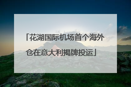 花湖国际机场首个海外仓在意大利揭牌投运