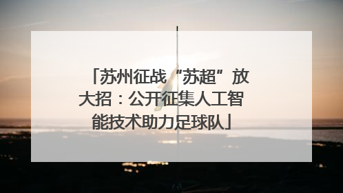 苏州征战“苏超”放大招：公开征集人工智能技术助力足球队