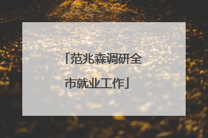 范兆森调研全市就业工作