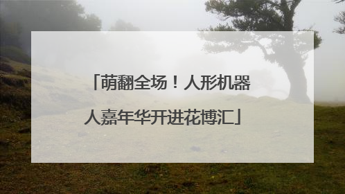 萌翻全场！人形机器人嘉年华开进花博汇