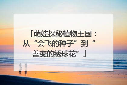 萌娃探秘植物王国：从“会飞的种子”到“善变的绣球花”