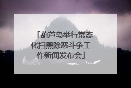 葫芦岛举行常态化扫黑除恶斗争工作新闻发布会