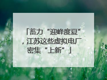 蓄力“迎峰度夏”，江苏这些虚拟电厂密集“上新”