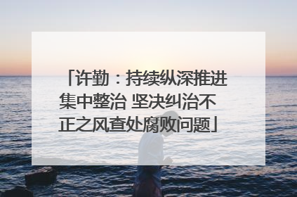 许勤：持续纵深推进集中整治 坚决纠治不正之风查处腐败问题