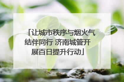 让城市秩序与烟火气结伴同行 济南城管开展百日提升行动