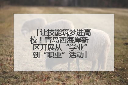 让技能筑梦进高校！青岛西海岸新区开展从“学业”到“职业”活动