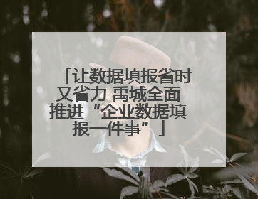 让数据填报省时又省力 禹城全面推进“企业数据填报一件事”