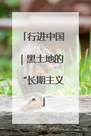 行进中国｜黑土地的“长期主义”