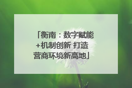 衡南：数字赋能+机制创新 打造营商环境新高地