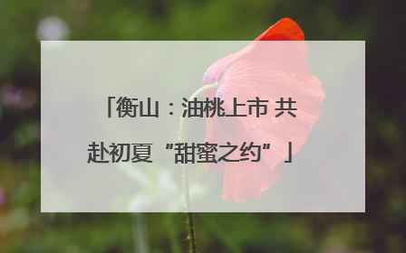 衡山：油桃上市 共赴初夏“甜蜜之约”