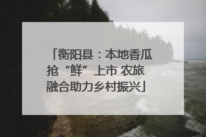 衡阳县：本地香瓜抢“鲜”上市 农旅融合助力乡村振兴
