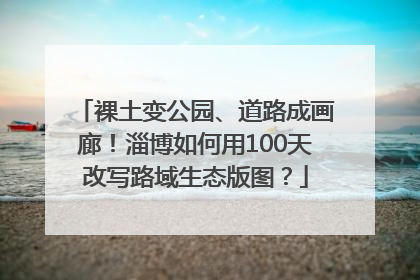 裸土变公园、道路成画廊！淄博如何用100天改写路域生态版图？